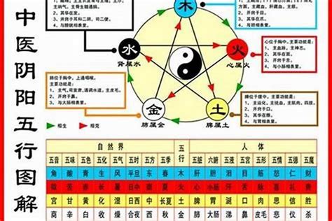 看自己的五行|五行查询